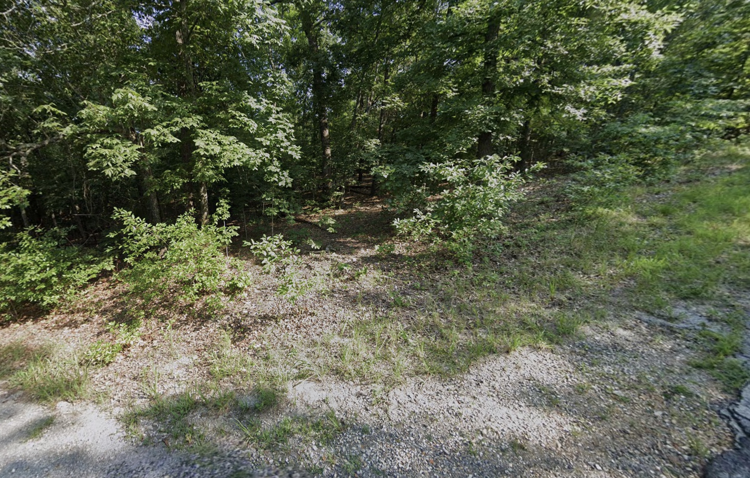 Cherokee Village, AR Area - 0.29acre Corner Lot near Lake Omaha! - photo 1
