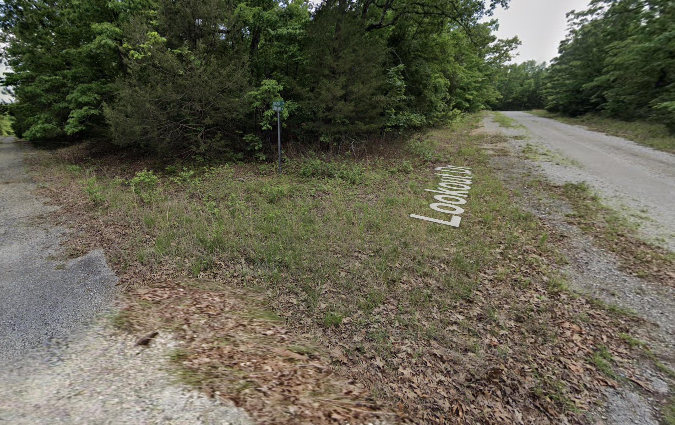 Horseshoe Bend - 0.44acre CORNER LOT very close to Diamond Lake - photo 1