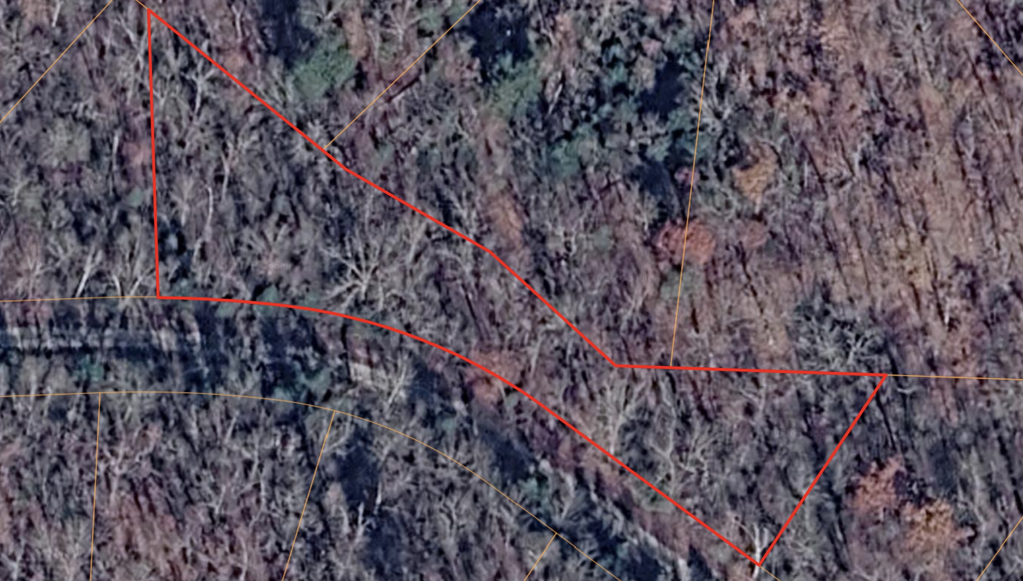 Horseshoe Bend - 0.68acre lot very close to Diamond Lake - photo 1