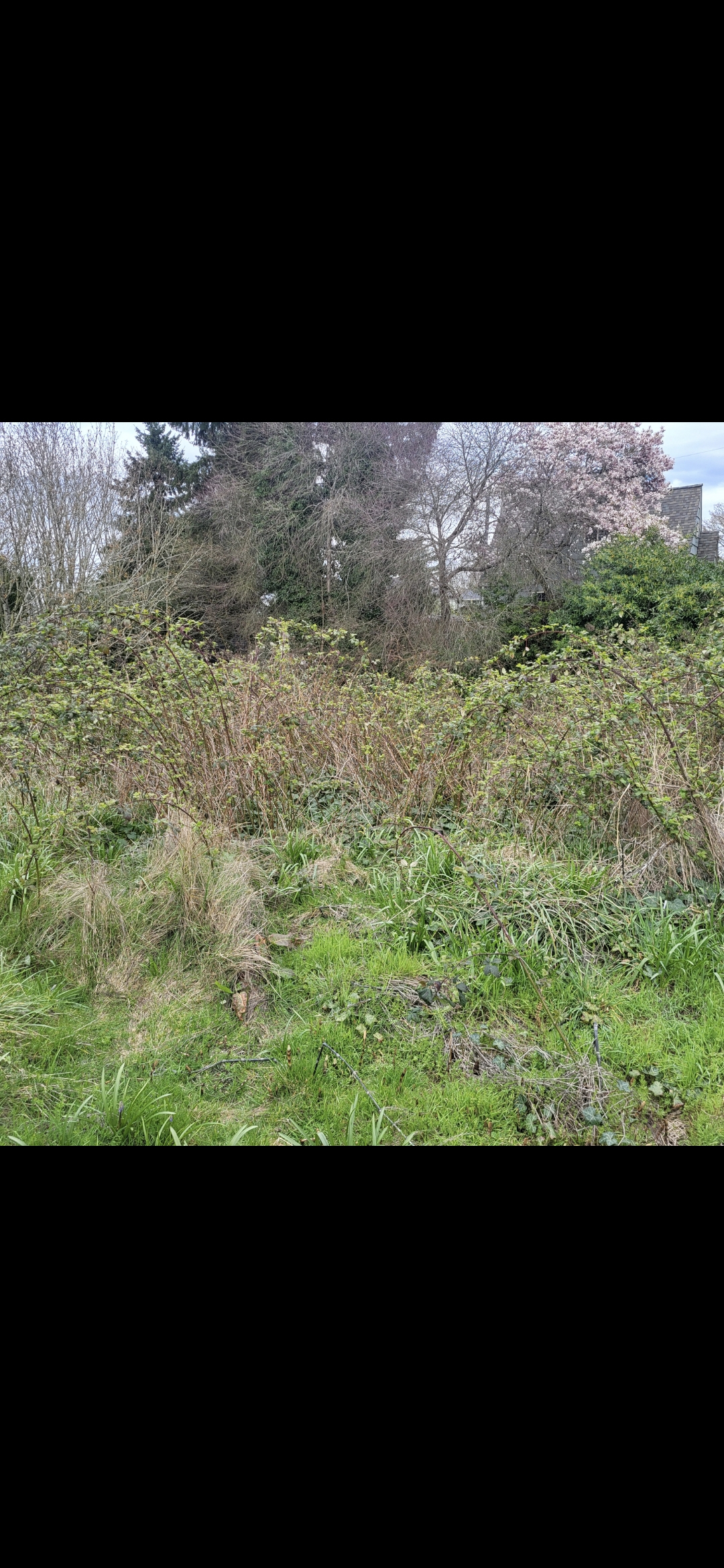 Vacant land - photo 1