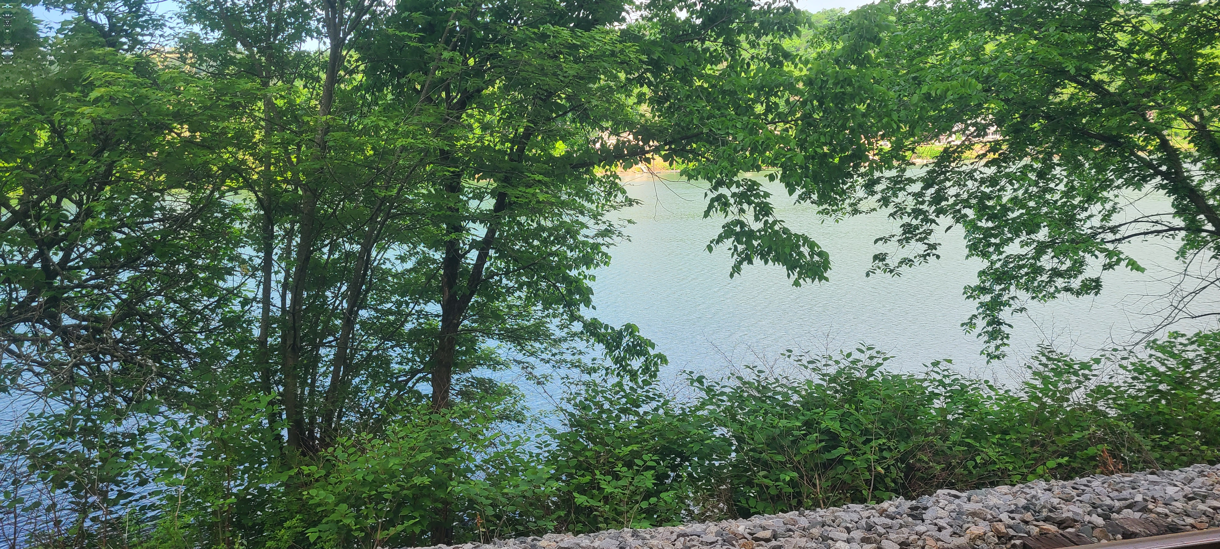 2 of 2 adjacent Riverfront Lots with a cabin and Amazing water views in Fayette city, PA - photo 1