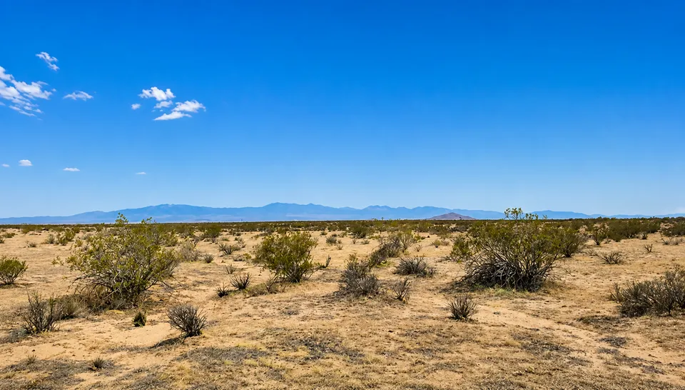 owner financed 2.50 acres APN: 3344-011-087 Address: E Ave K 4, Lancaster, CA 93535