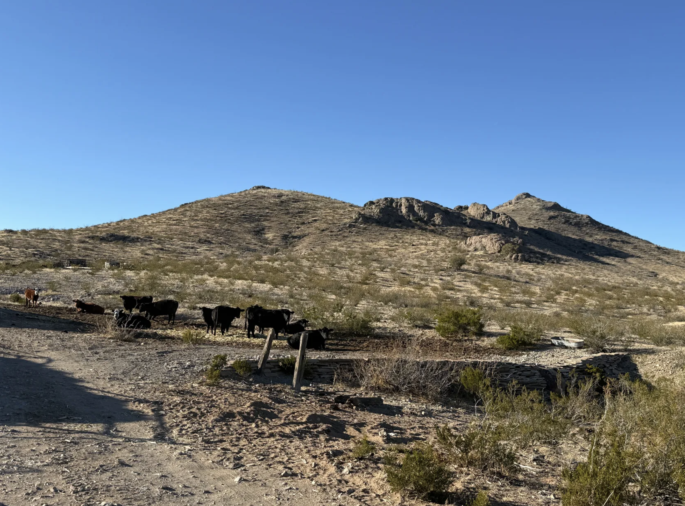 Resid Lot - 0.50acre in Deming, NM, Near Proposed Casino! - photo 1