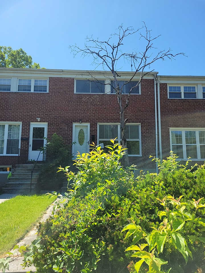 HUD Home — 1015 Woodheights Ave, Baltimore, MD 21211 - photo 1