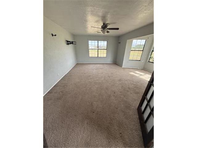 HUD Home — 1611 Fm 2446, Frankilin, TX 77856 - photo 5