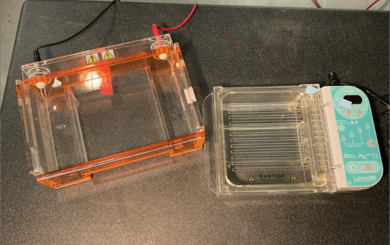 Gel electrophoresis Unit & Molding tray — photo 1