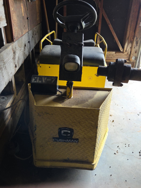 2013 CUSHMAN SCOOTER - SALVAGE