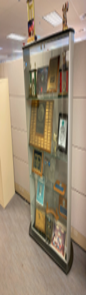 DISPLAY CASE