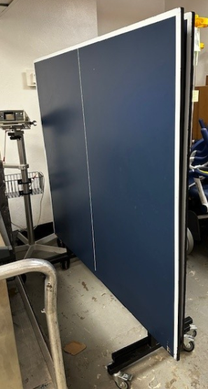 Joola Ping Pong Table — photo 1