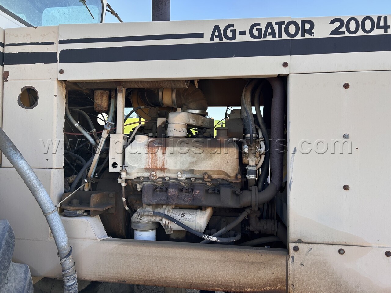 early 80's AG-GATOR 2004 - photo 5