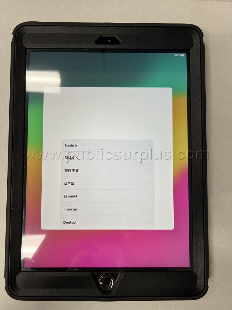 Apple Misc iPads (3) - photo 2