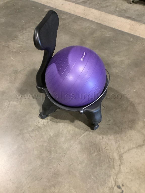 8104 - Yoga Ball Chair - photo 2