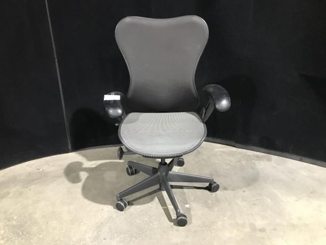 Herman Miller Ergonomic Task Chair (E)
