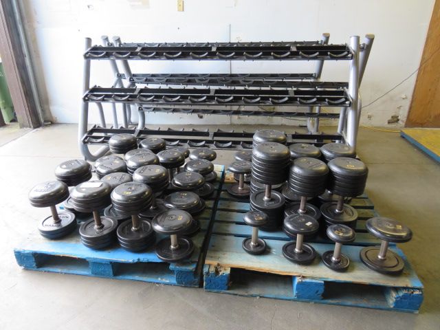 Matrix Racks w/ Ivanko Free Weights (S)