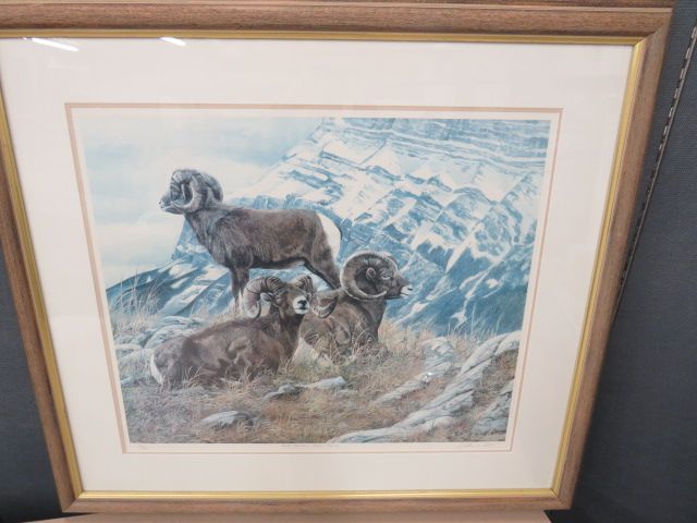 Rocky Mountain Spring Ground-Ltd Edition Print by Andrew Kiss(S)