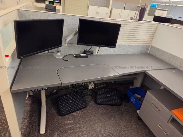 Assorted Sit-Stand Desks