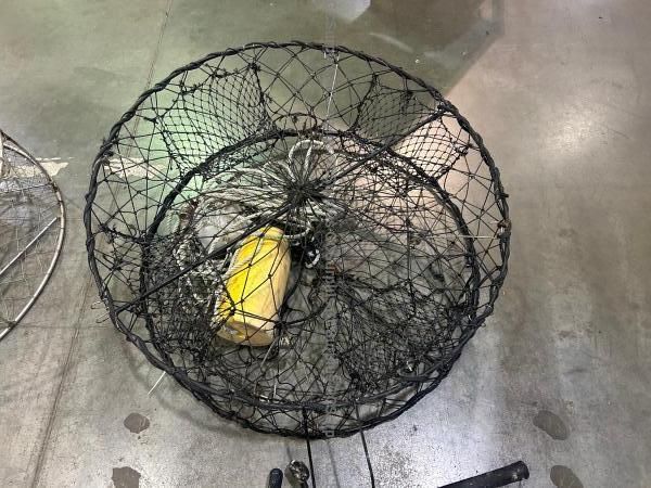 Assorted Crab/Prawn Traps