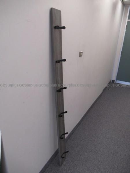 Wall Mounted Coat Hooks - photo 1