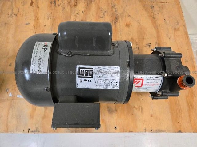 WEG Electric Motor and Warrender Pump