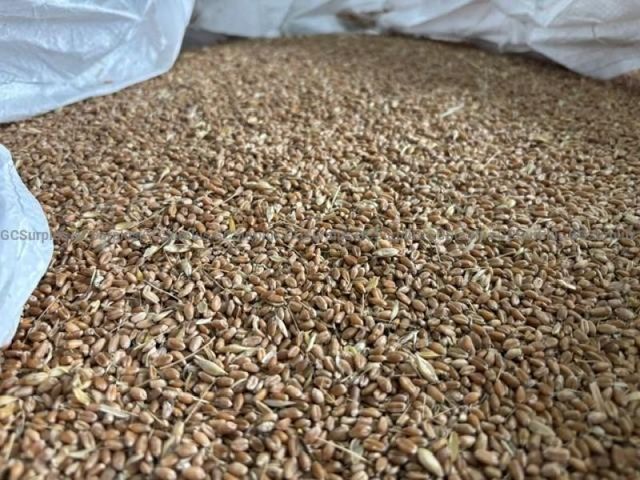 Mixed Grain - Lot 76