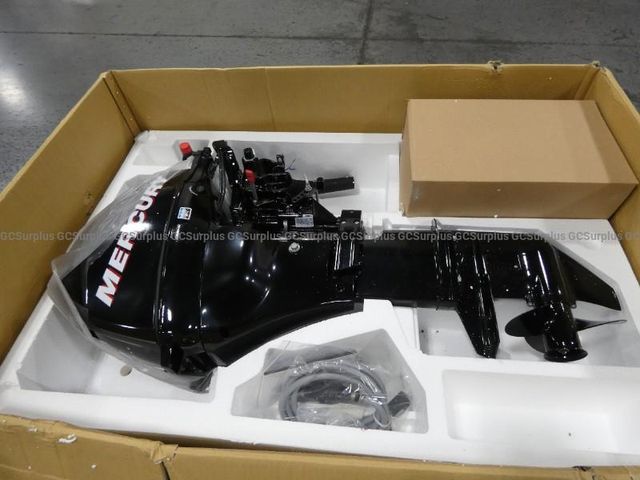 Mercury Outboard Motor