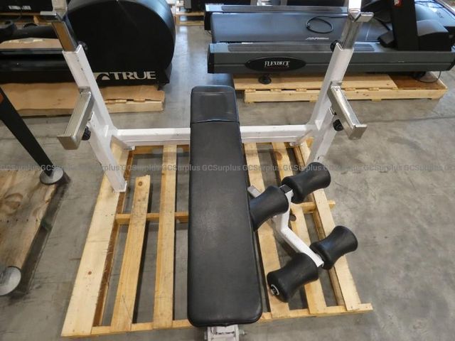 Northern Lights Bench Press