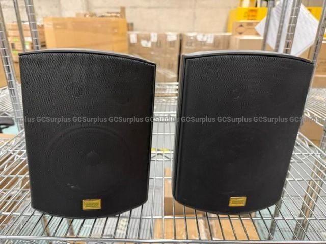 Indoor/Outdoor Speakers