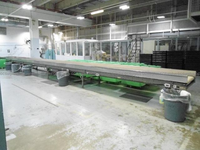 Sorting Conveyor
