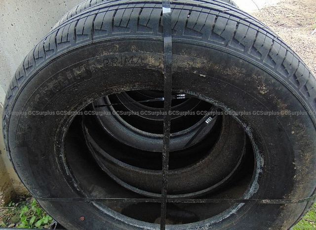 Michelin Primacy A/S Tires