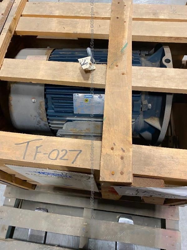 Leeson Electric Alternating Current Motor