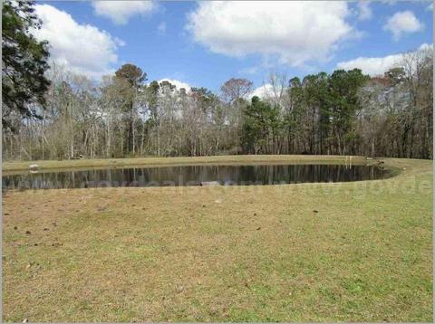10.65 +/- Acres on S. Cedar Street in Springfield, GA  31329