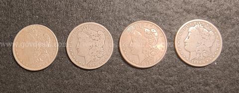 Four Morgan Dollars