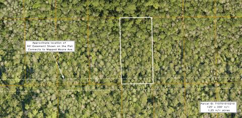 1.25 +/- acre parcel near Near I-4  - Central Florida Land, Volusia County, No Reserve