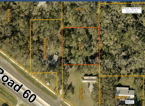 0.73-acre undeveloped lot near Tampa - No Reserve!
