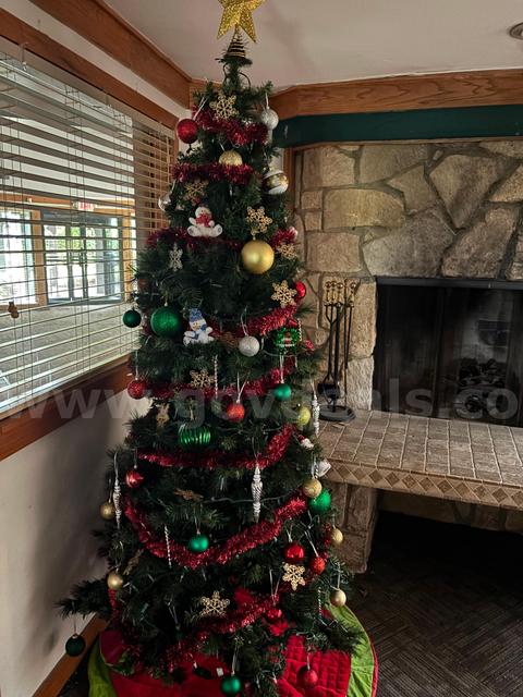 Christmas Trees (Lot of 3)