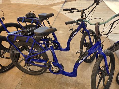 Pair of 2018 Pedego E-Bikes
