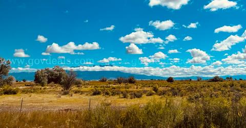 NO RESERVE Colorado Land Liquidation Opportunity With Ability To Acquire Adjacent Lots!