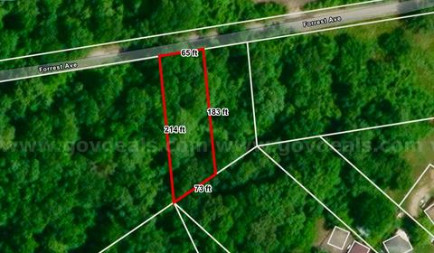 Large 0.29 Acres Lot in Mounds, IL