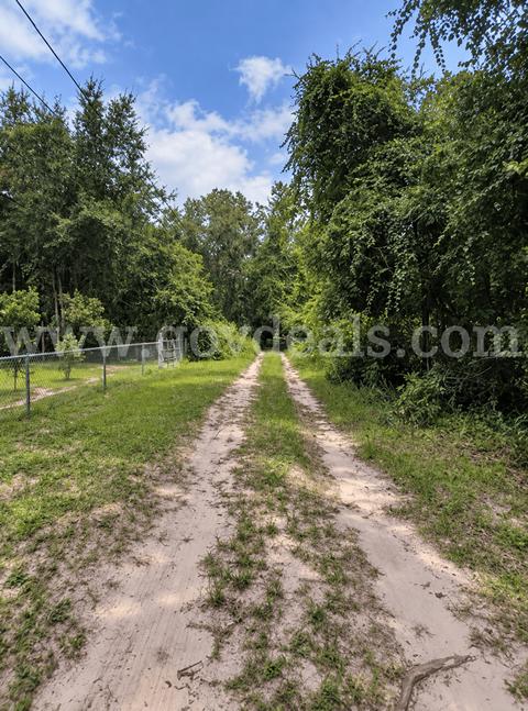 0.18 Acre in Ocklawaha, FL – High & Dry Lot Near Lake Mary