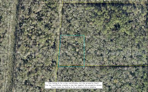 Tax Lien Certificate #156 - Flagler County, FL - No reserve.