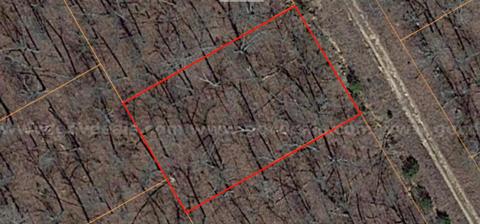 Horseshoe Bend - 0.27acre lot very close to Diamond Lake