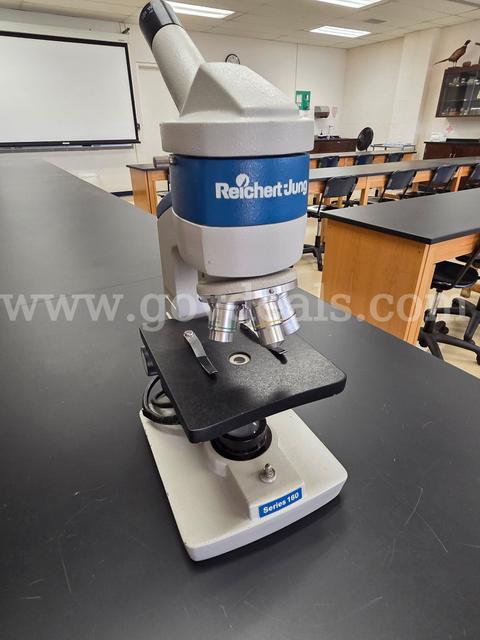 Reichert-Jung Series 160 Microscopes - Lot of 19