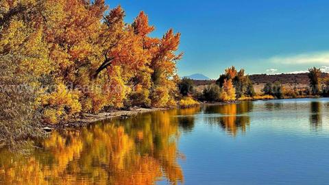 NO RESERVE Colorado City Subdivision Property!