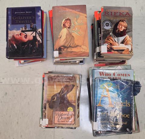 Grades 6 to 8 Library Books