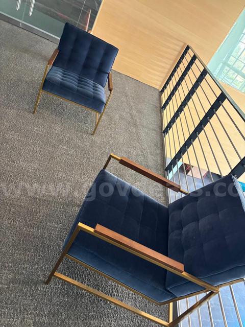 5 PCS Blue Velvet Chairs