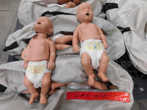 12 EMS Training Baby Mahicans