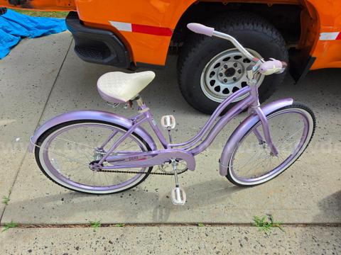Schwinn Quality