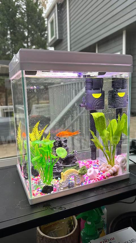 SHIPPING AVAILABLE Glass Fish Tank (W7” × L9” × H10”) –( 6-02)    Tank Only, Accessories Not Included