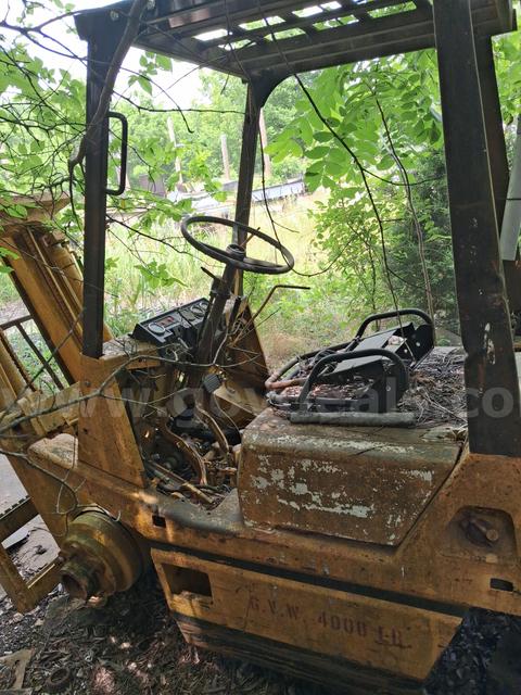 Forklift - TCM