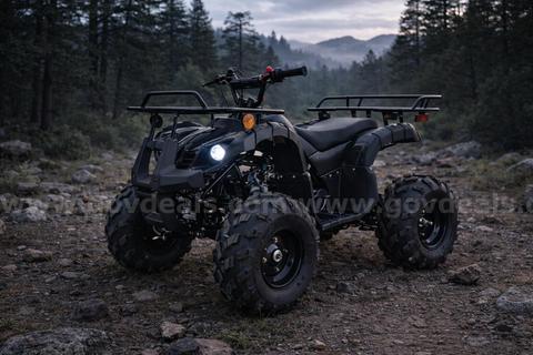 FREE SHIPPING - NEW 2025 - 125cc Utility ATV β Automatic w/ Reverse β Mid-Size Quad